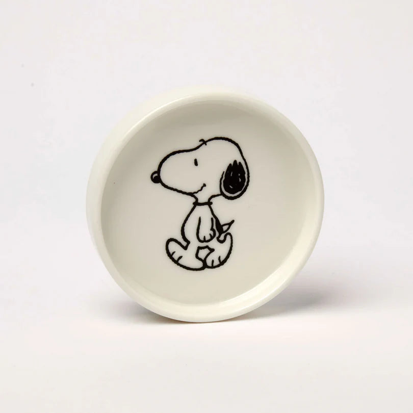 PEANUTS - Walk Trinket Dish