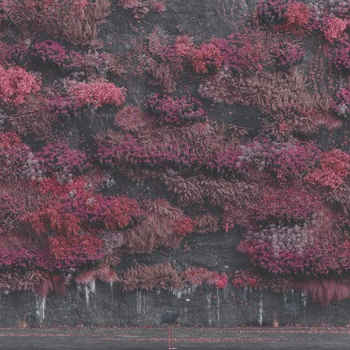 SLEEP TOKEN - Even In Arcadia Black Vinyl Album