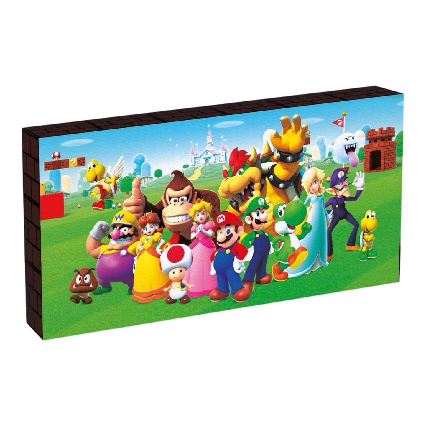 MARIO - Group Light Up Canvas