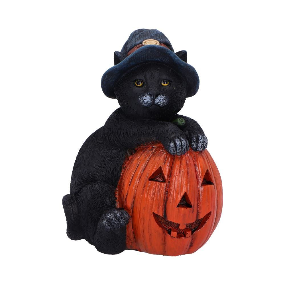 NEMESIS NOW - Trick Or Treat Cat With Pumpkin Figure