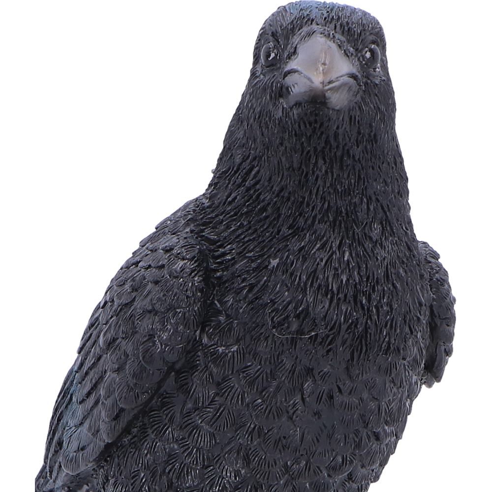 NEMESIS NOW - Nevermore Vigil Raven Standing On Skull Figure
