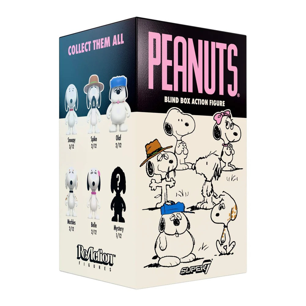 PEANUTS - Wave 10 Snoopy's Siblings Blind Box ReAction Figure