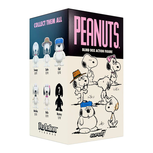 PEANUTS - Wave 10 Snoopy's Siblings Blind Box ReAction Figure