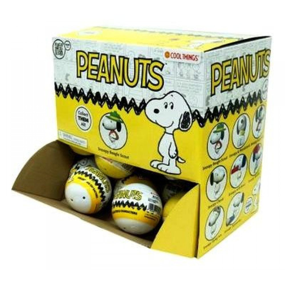 PEANUTS - Snoopy Blind Capsule (1)