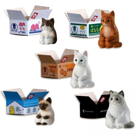 CATS - Still Waiting For You Blind Box Mystery Box Figure