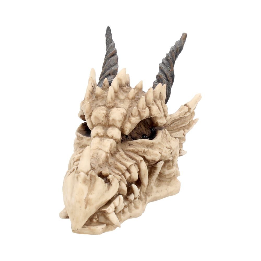 NEMESIS NOW - Dragon Skull Box