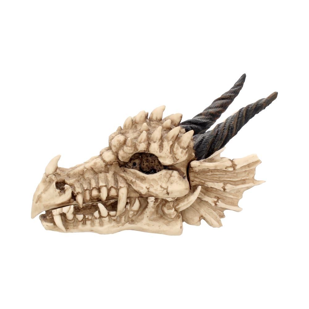 NEMESIS NOW - Dragon Skull Box