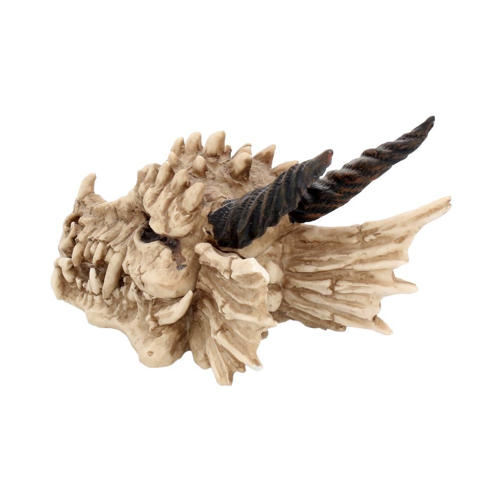 NEMESIS NOW - Dragon Skull Box