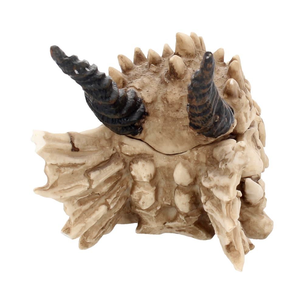 NEMESIS NOW - Dragon Skull Box