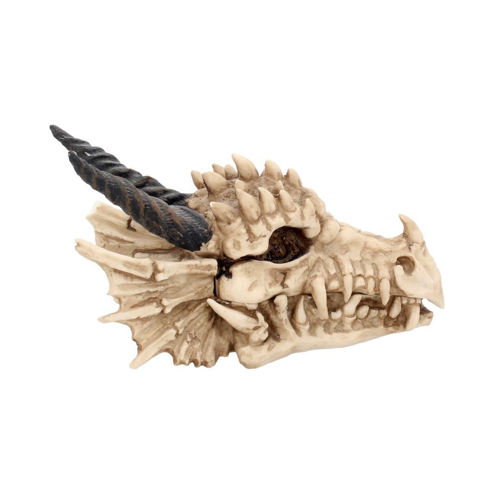 NEMESIS NOW - Dragon Skull Box