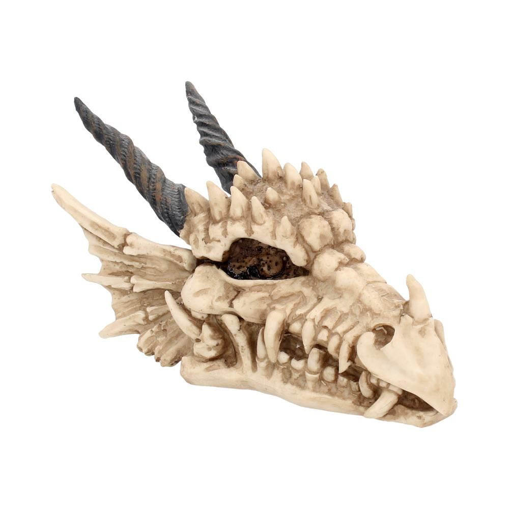 NEMESIS NOW - Dragon Skull Box