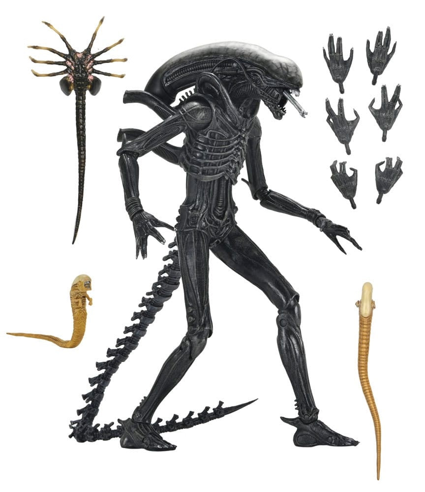 ALIEN : ROMULUS - Xenomorph XX121 Neca Ultimate Figure