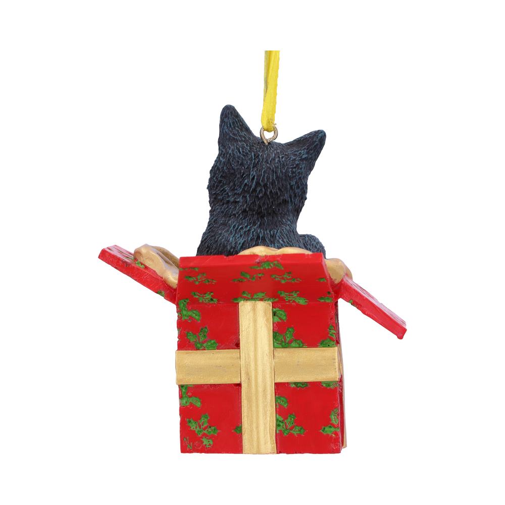 NEMESIS NOW - Present Cat Christmas Decoration