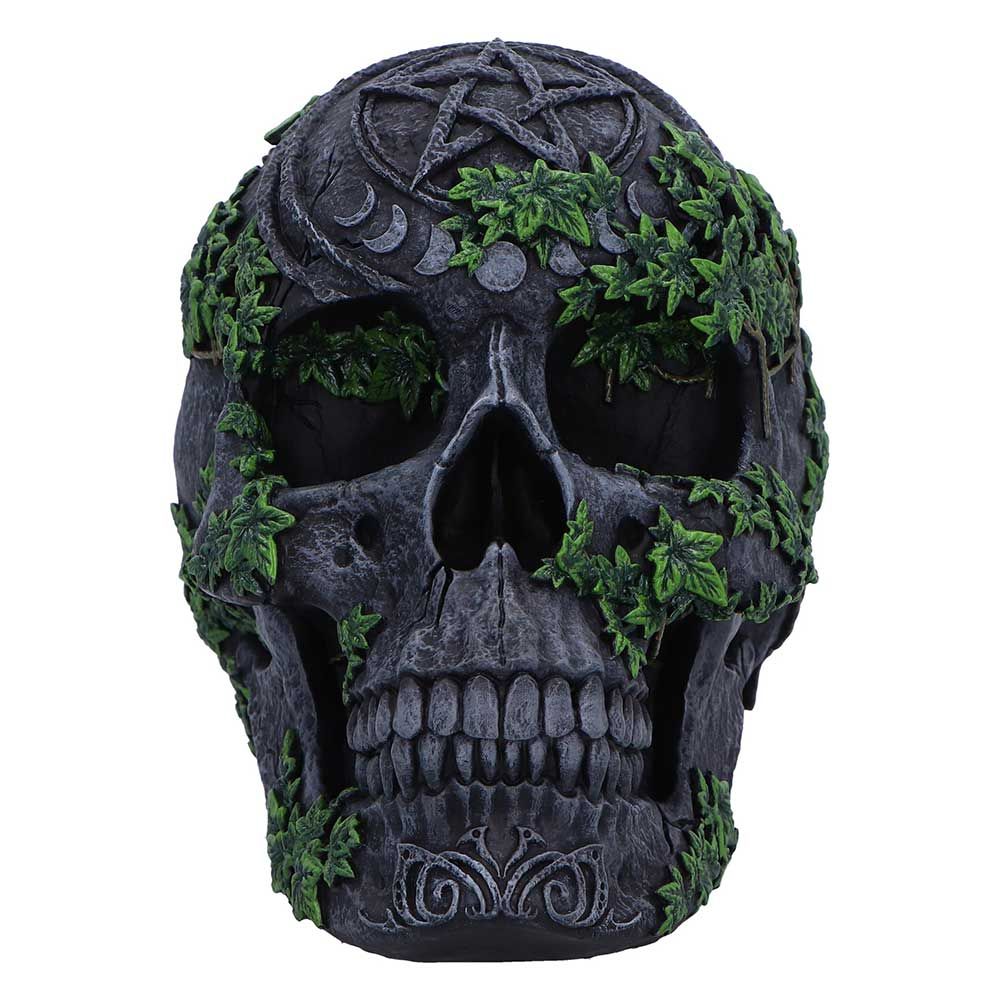 NEMESIS NOW - Aged Pentagram Skull