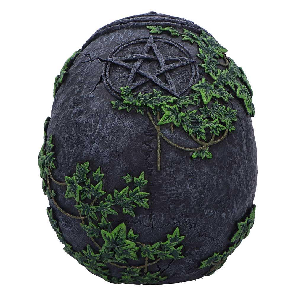 NEMESIS NOW - Aged Pentagram Skull