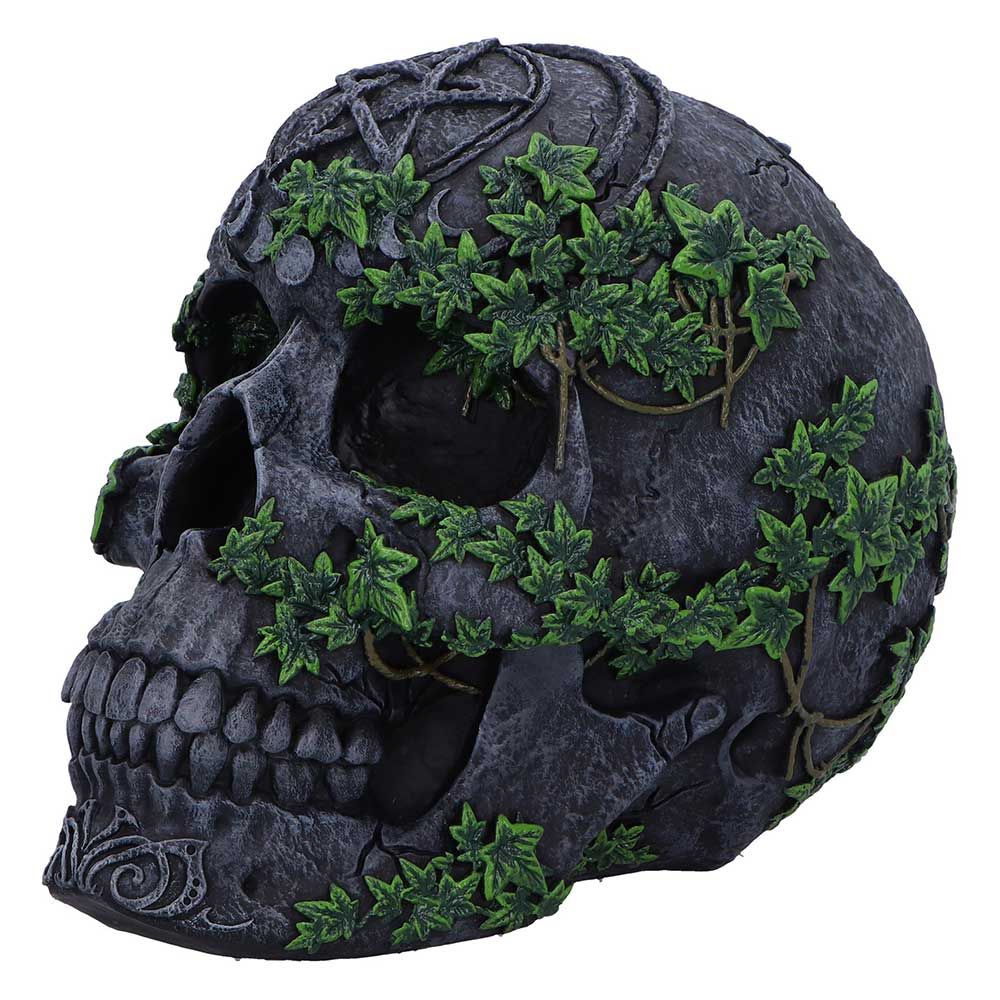 NEMESIS NOW - Aged Pentagram Skull