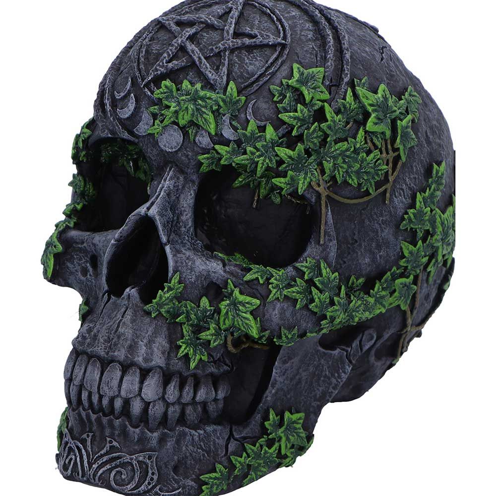 NEMESIS NOW - Aged Pentagram Skull