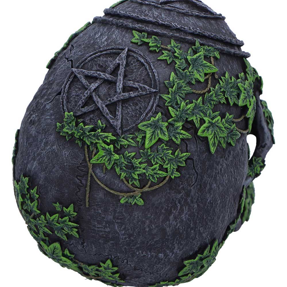 NEMESIS NOW - Aged Pentagram Skull