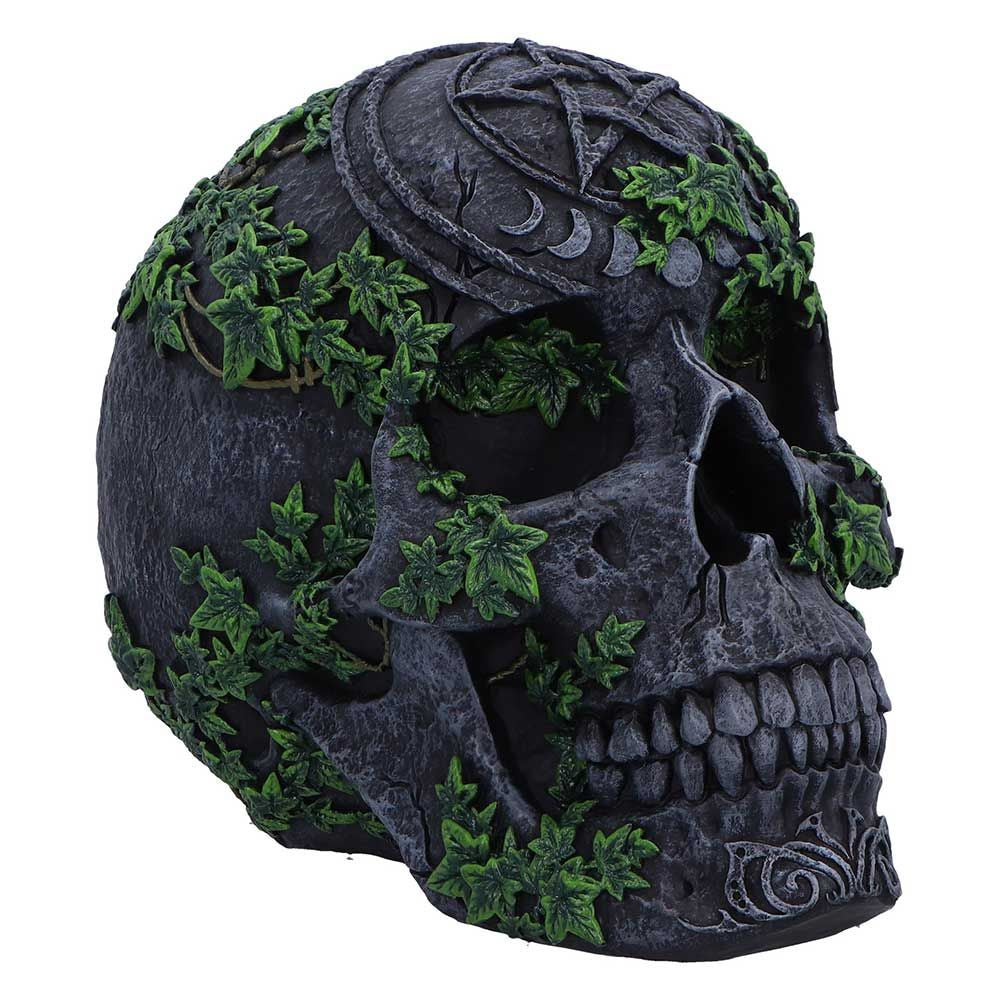 NEMESIS NOW - Aged Pentagram Skull