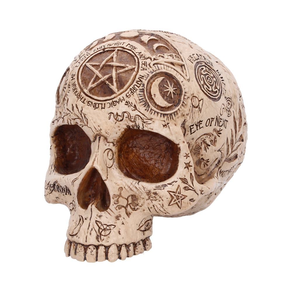 NEMESIS NOW - Apothecary Skull