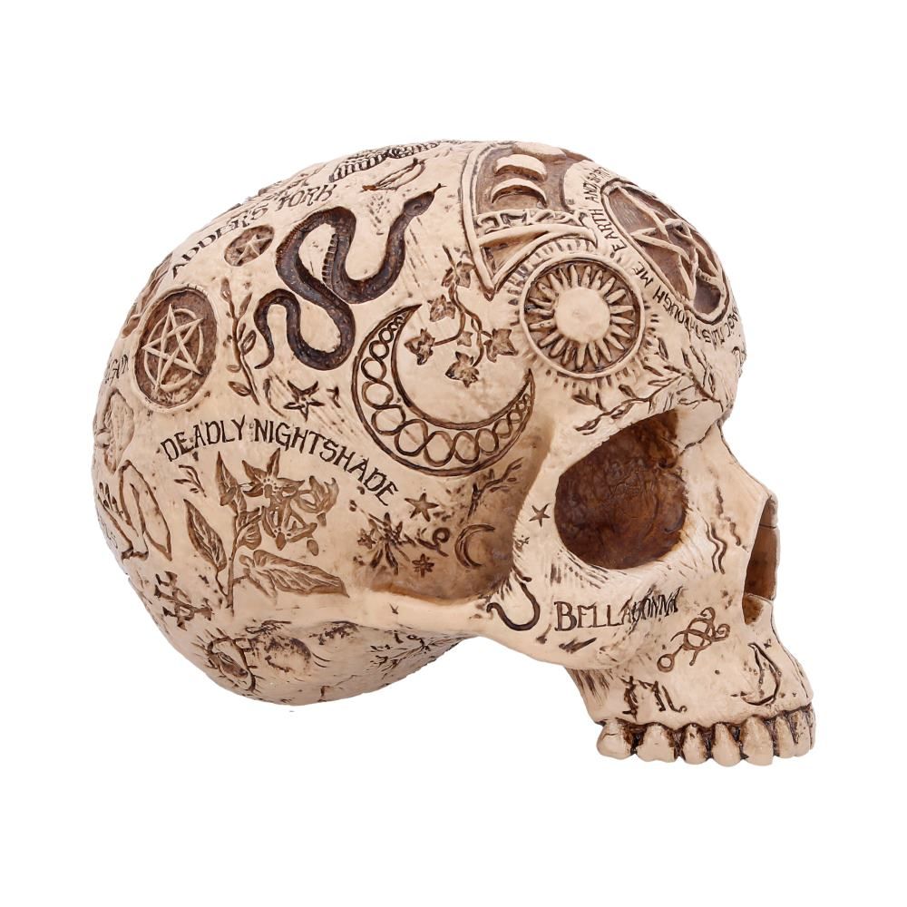 NEMESIS NOW - Apothecary Skull