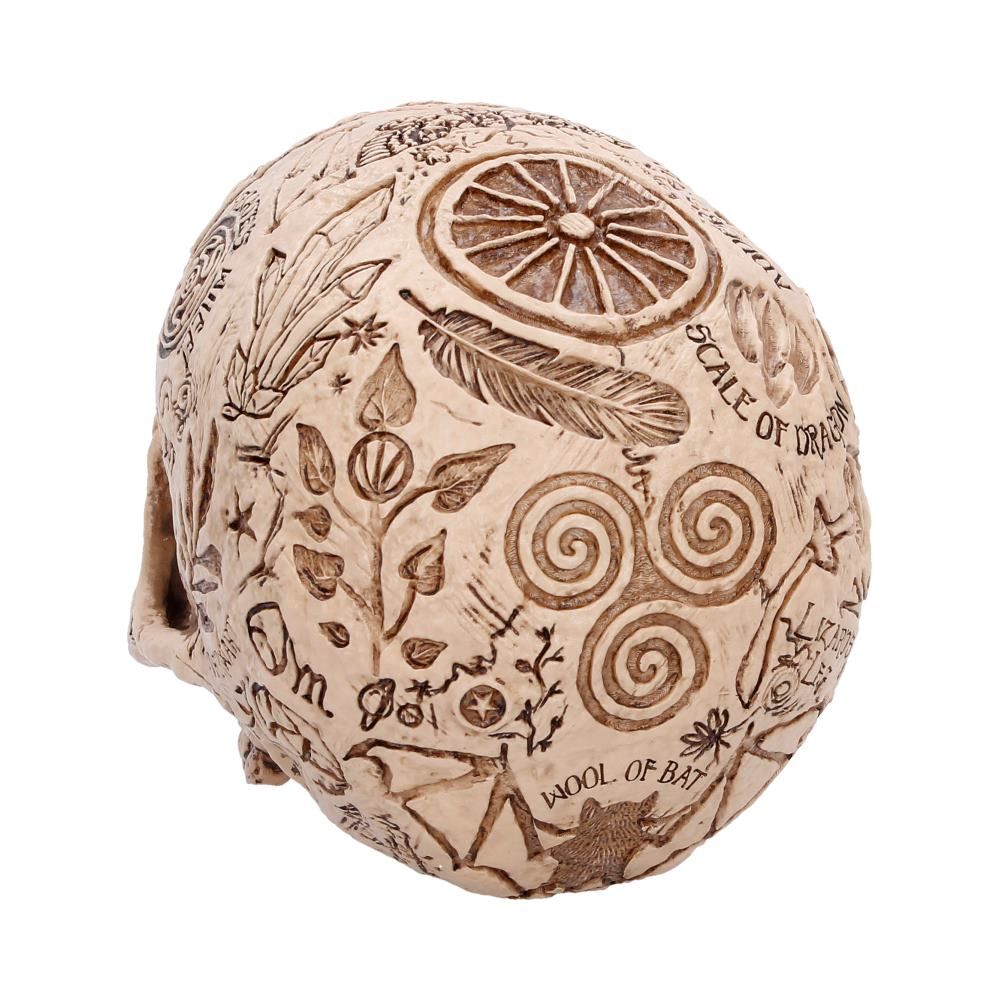 NEMESIS NOW - Apothecary Skull
