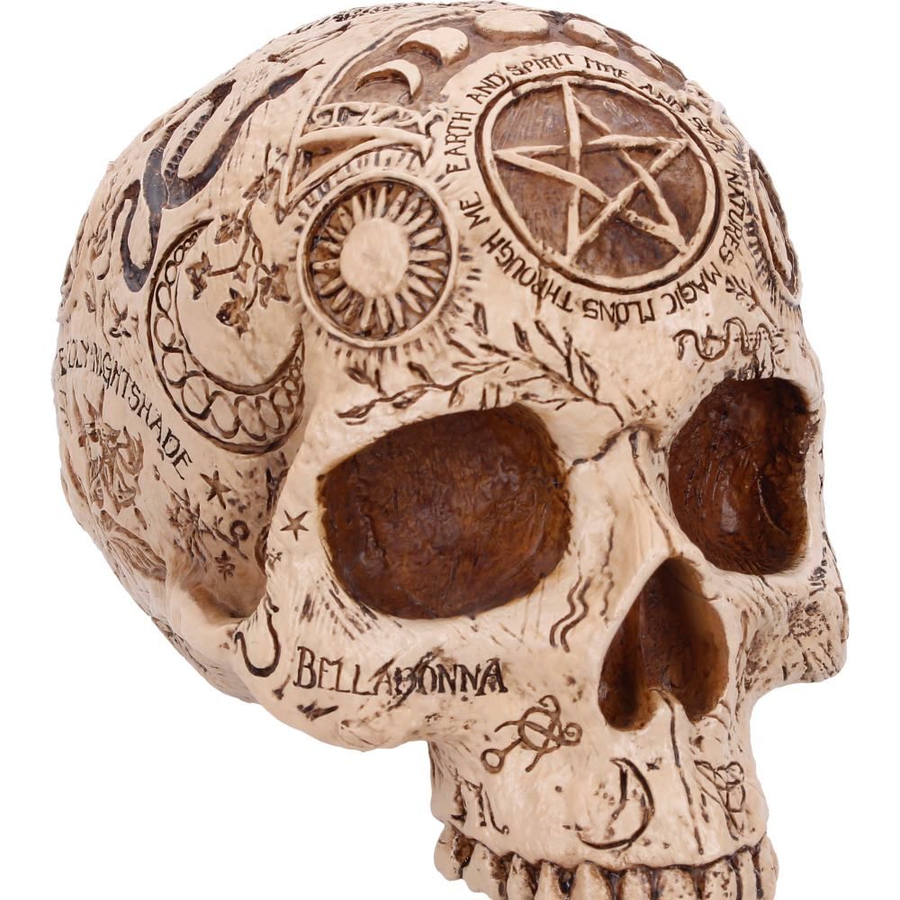 NEMESIS NOW - Apothecary Skull