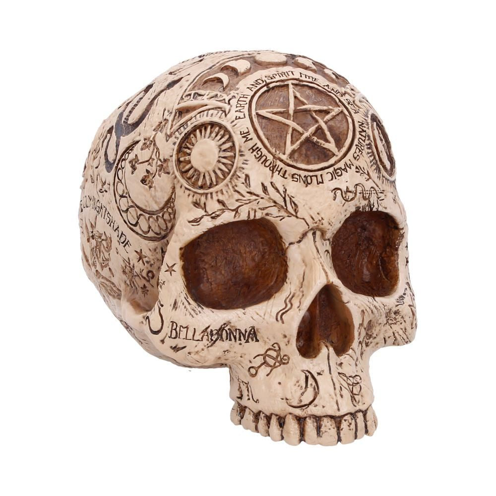 NEMESIS NOW - Apothecary Skull