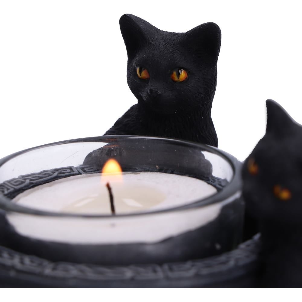 NEMESIS NOW - Familiar Trio Cat Tea Light Holder