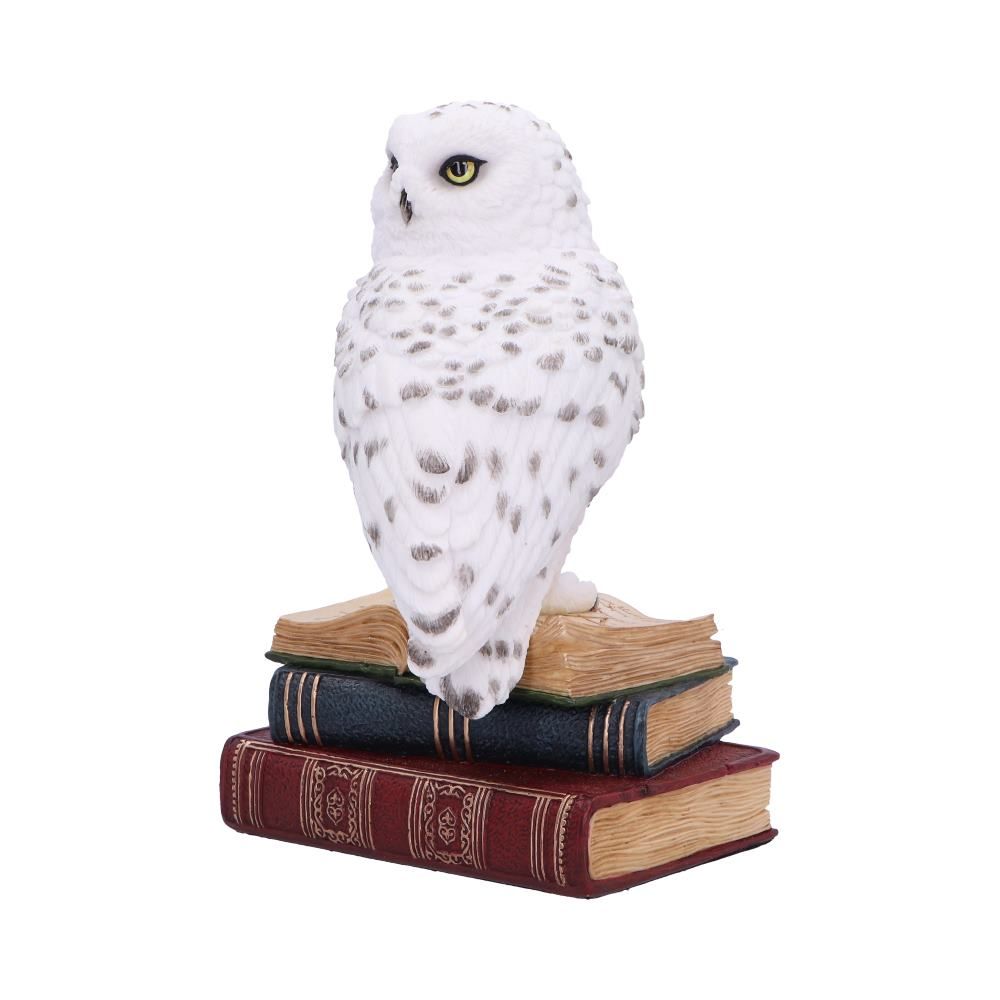 NEMESIS NOW - Library Of Wisdom Figure