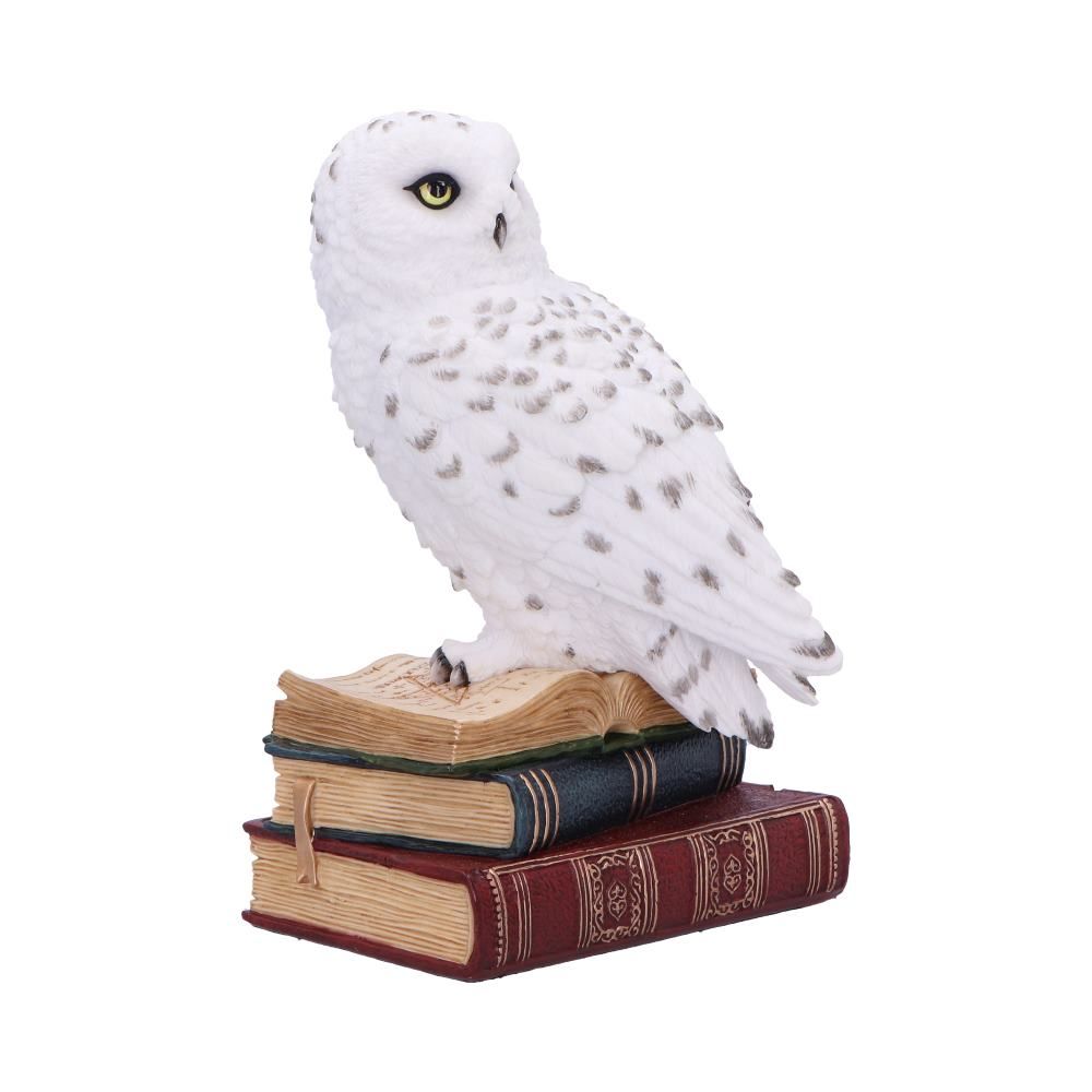 NEMESIS NOW - Library Of Wisdom Figure