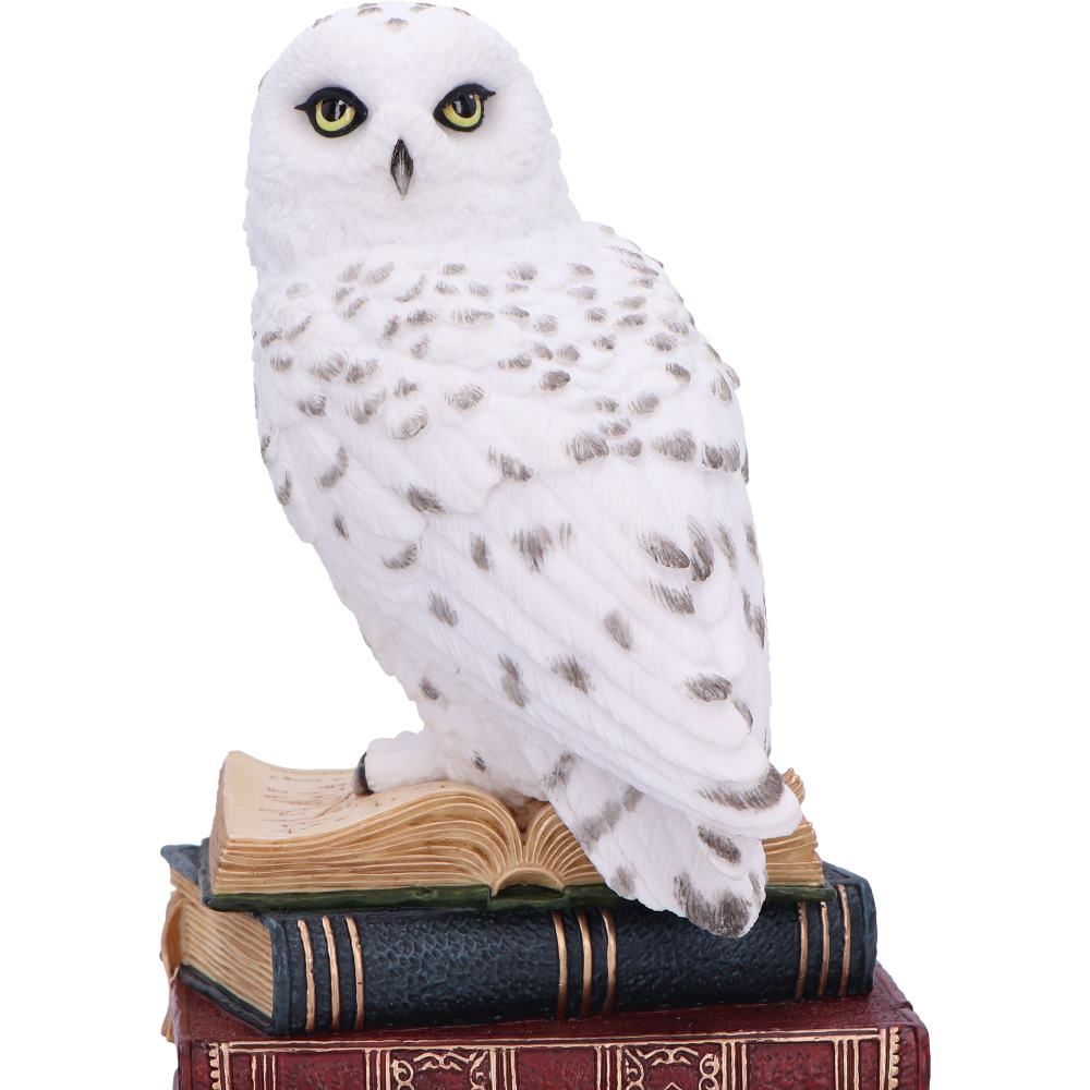 NEMESIS NOW - Library Of Wisdom Figure