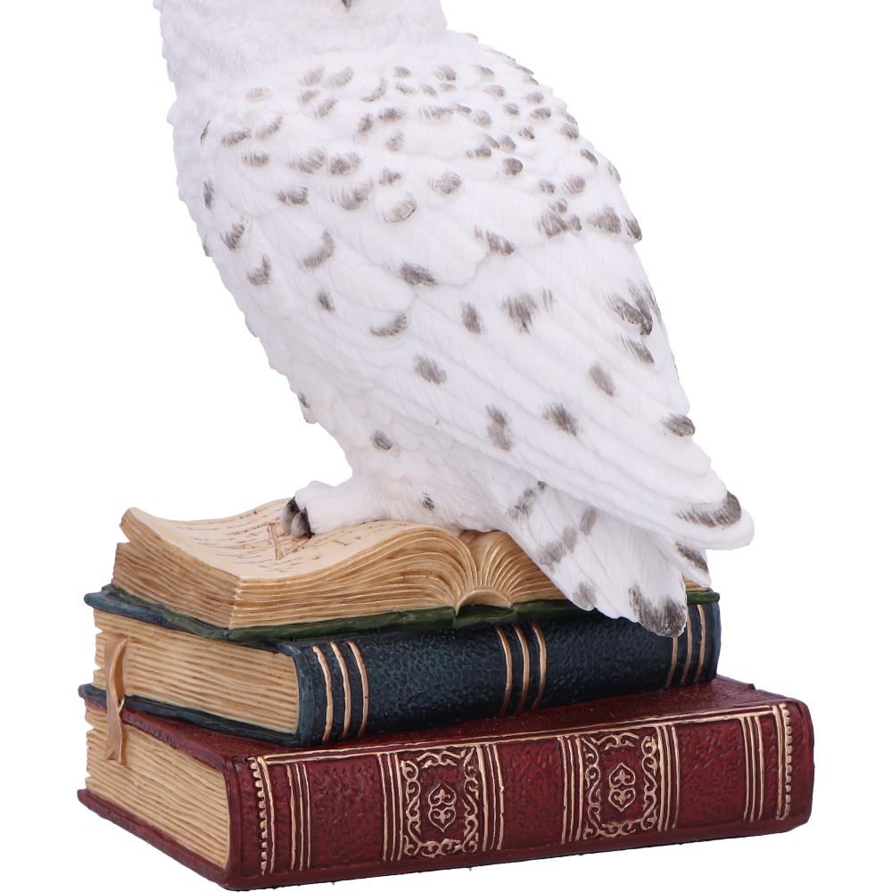 NEMESIS NOW - Library Of Wisdom Figure