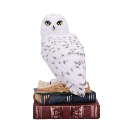 NEMESIS NOW - Library Of Wisdom Figure