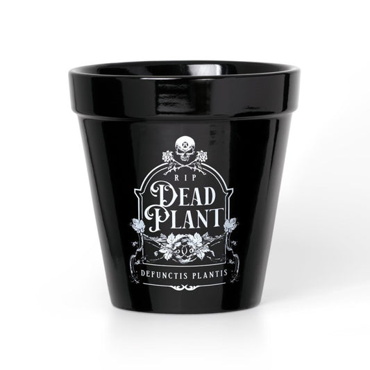 ALCHEMY - Dead Plant Plant Pot