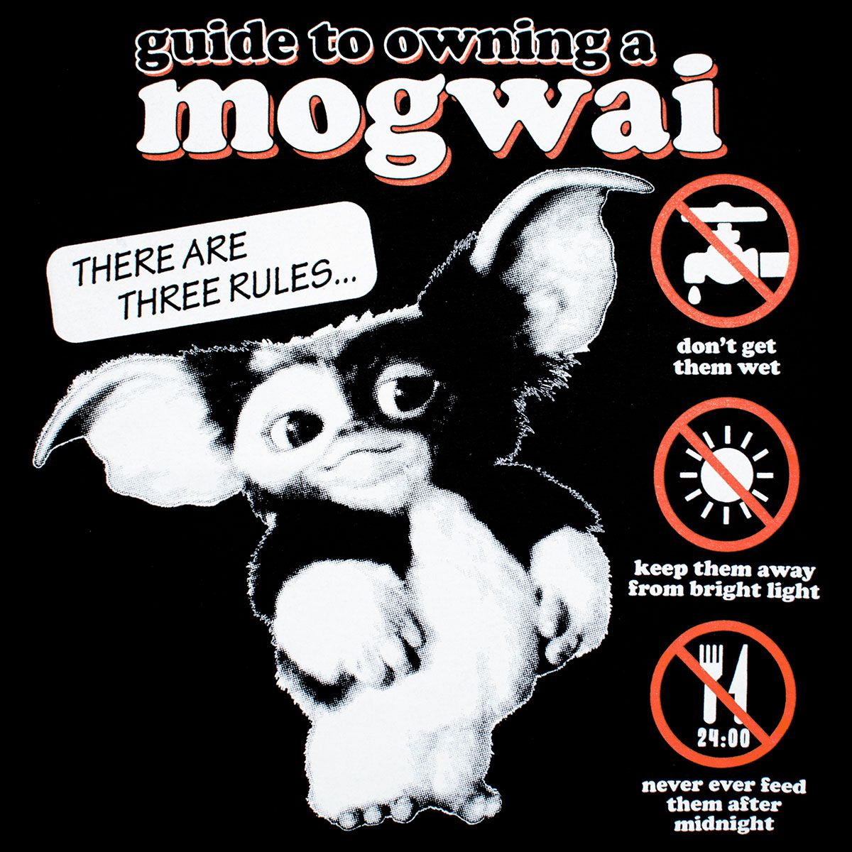 A Close-Up shot of a t-shirt featuring a Gizmo Mogwai Motif, along with the three rules.