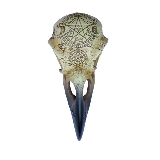 ALCHEMY - Omega Raven Skull