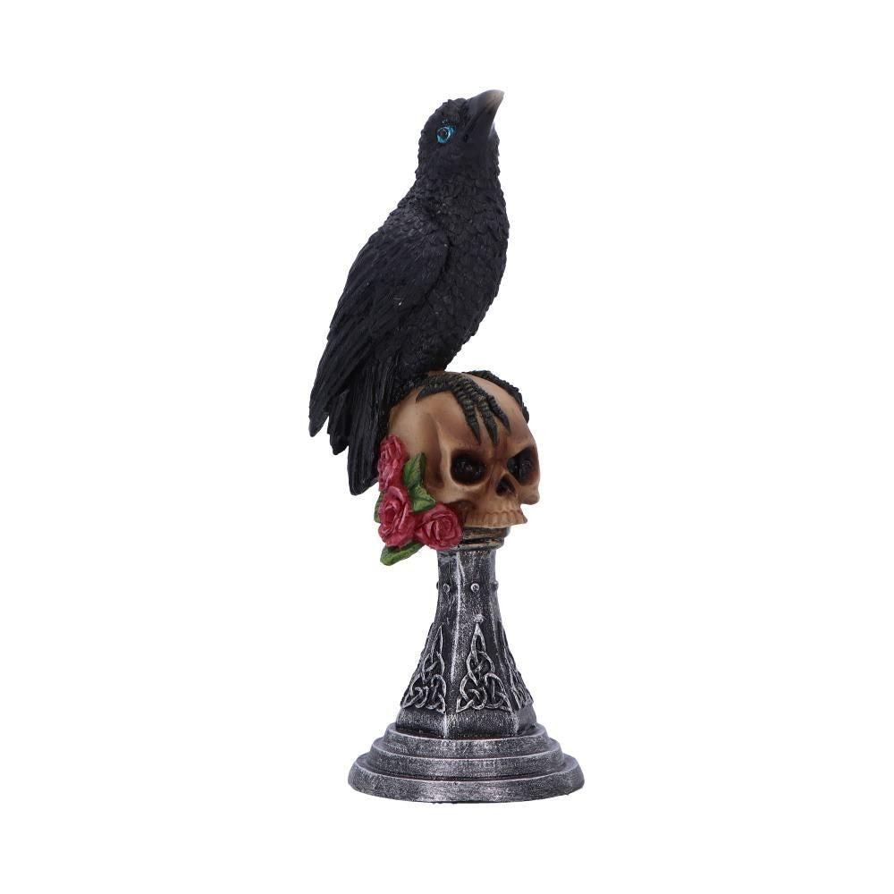 NEMESIS NOW - Perched Prophecy 17cm Figure