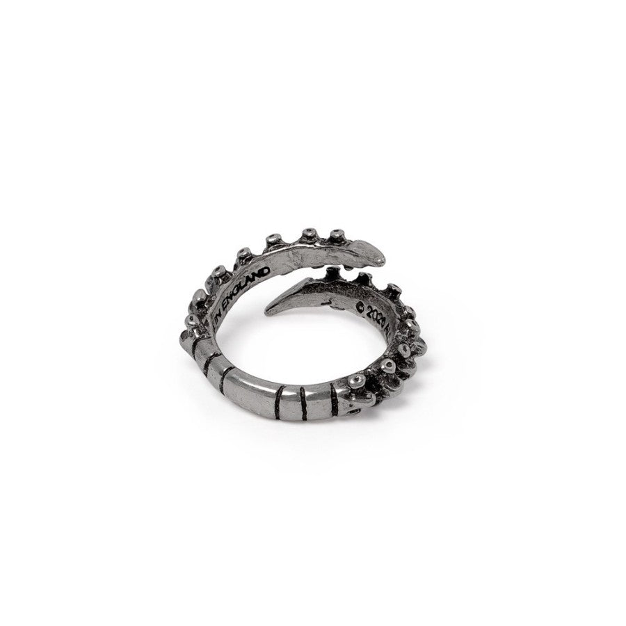 ALCHEMY - Spine Ring