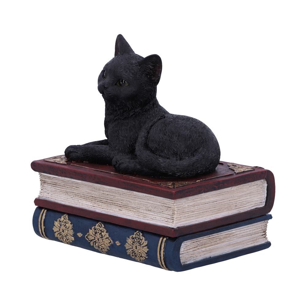 NEMESIS NOW - Salems Spells 11.7cm Trinket Box