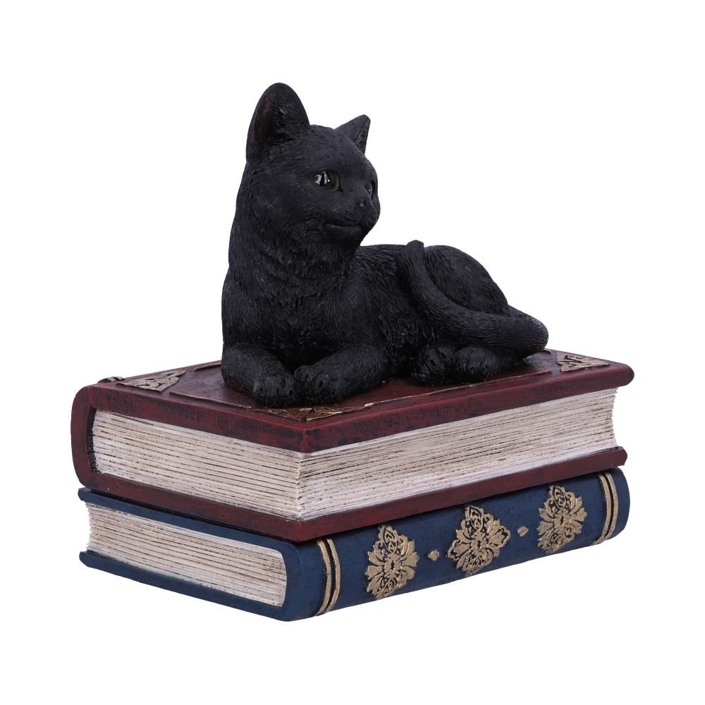 NEMESIS NOW - Salems Spells 11.7cm Trinket Box