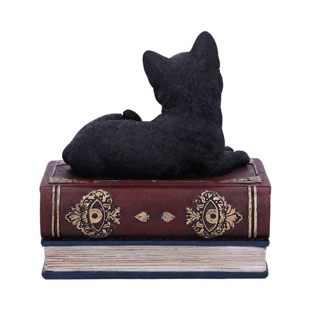 NEMESIS NOW - Salems Spells 11.7cm Trinket Box