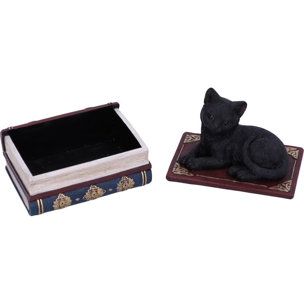 NEMESIS NOW - Salems Spells 11.7cm Trinket Box