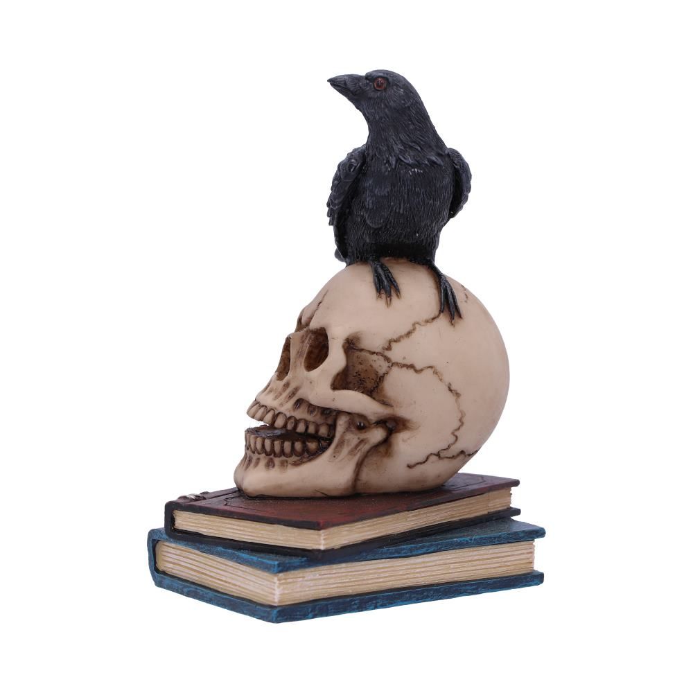 NEMESIS NOW - Raven's Spell 10.3cm Figure