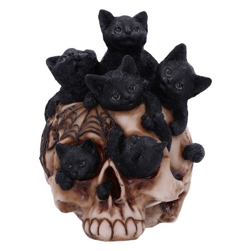 NEMESIS NOW - Cranial Litter Skull