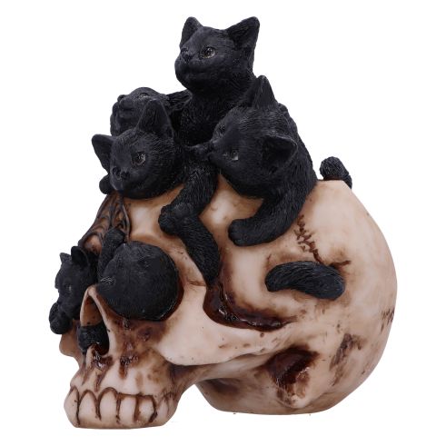 NEMESIS NOW - Cranial Litter Skull