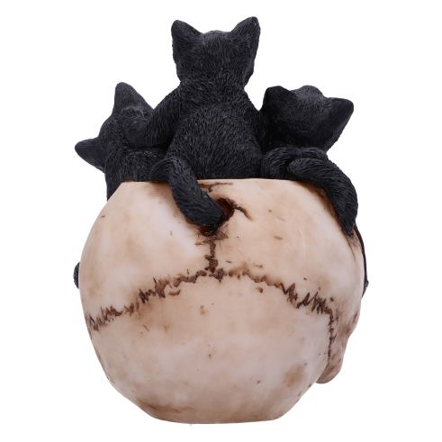 NEMESIS NOW - Cranial Litter Skull
