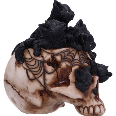 NEMESIS NOW - Cranial Litter Skull