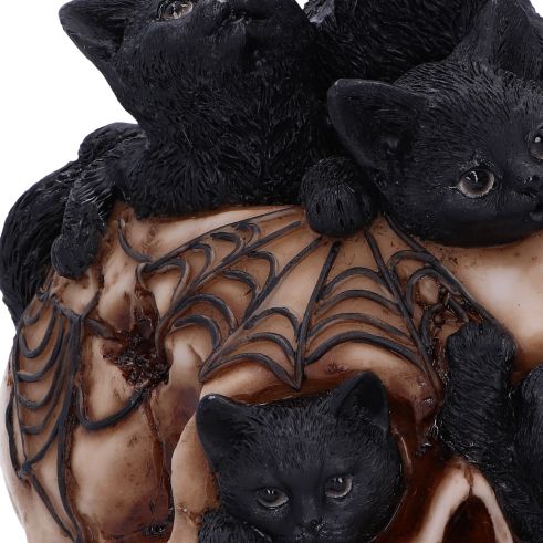 NEMESIS NOW - Cranial Litter Skull