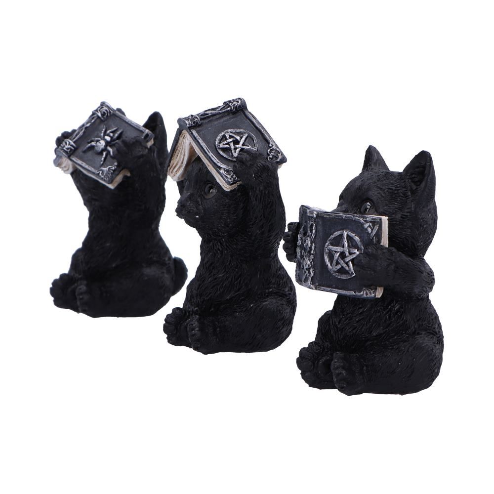 NEMESIS NOW - 3 Wise Witchy Black Cats Figures